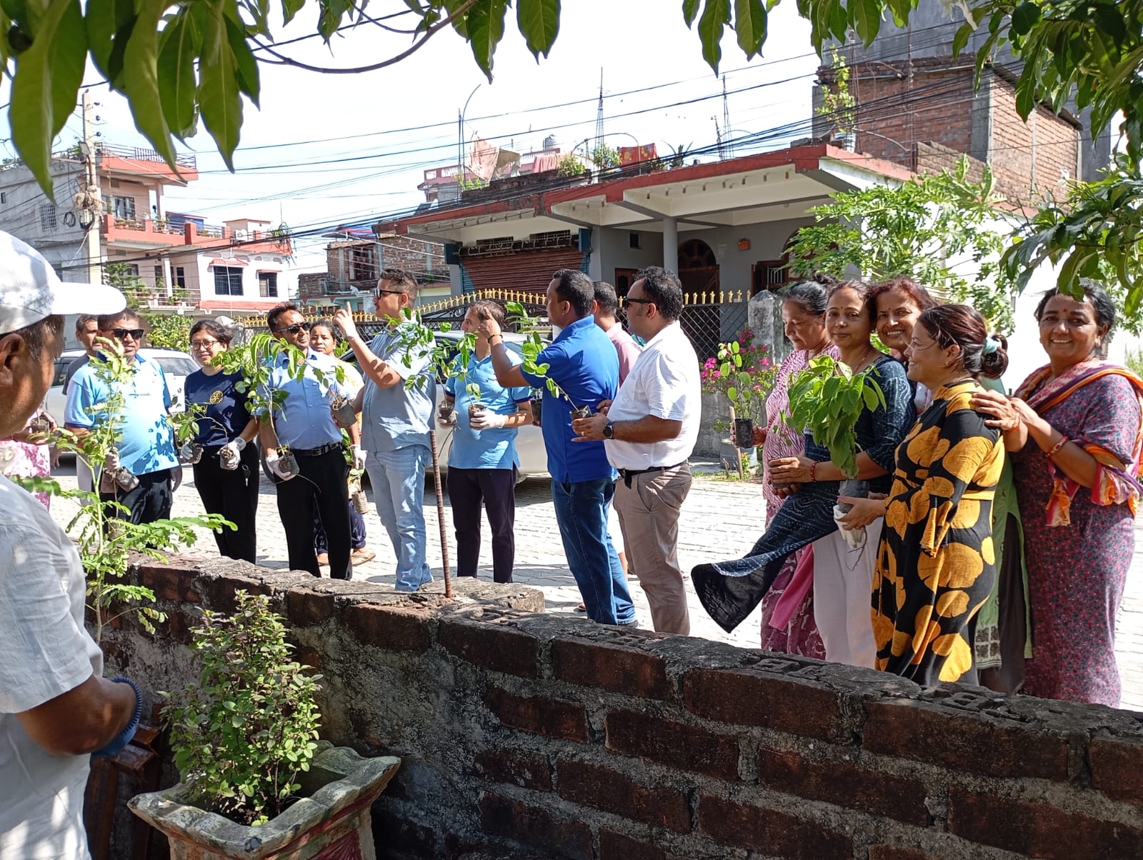 Tree Plantation Program (July 01, 2025)
