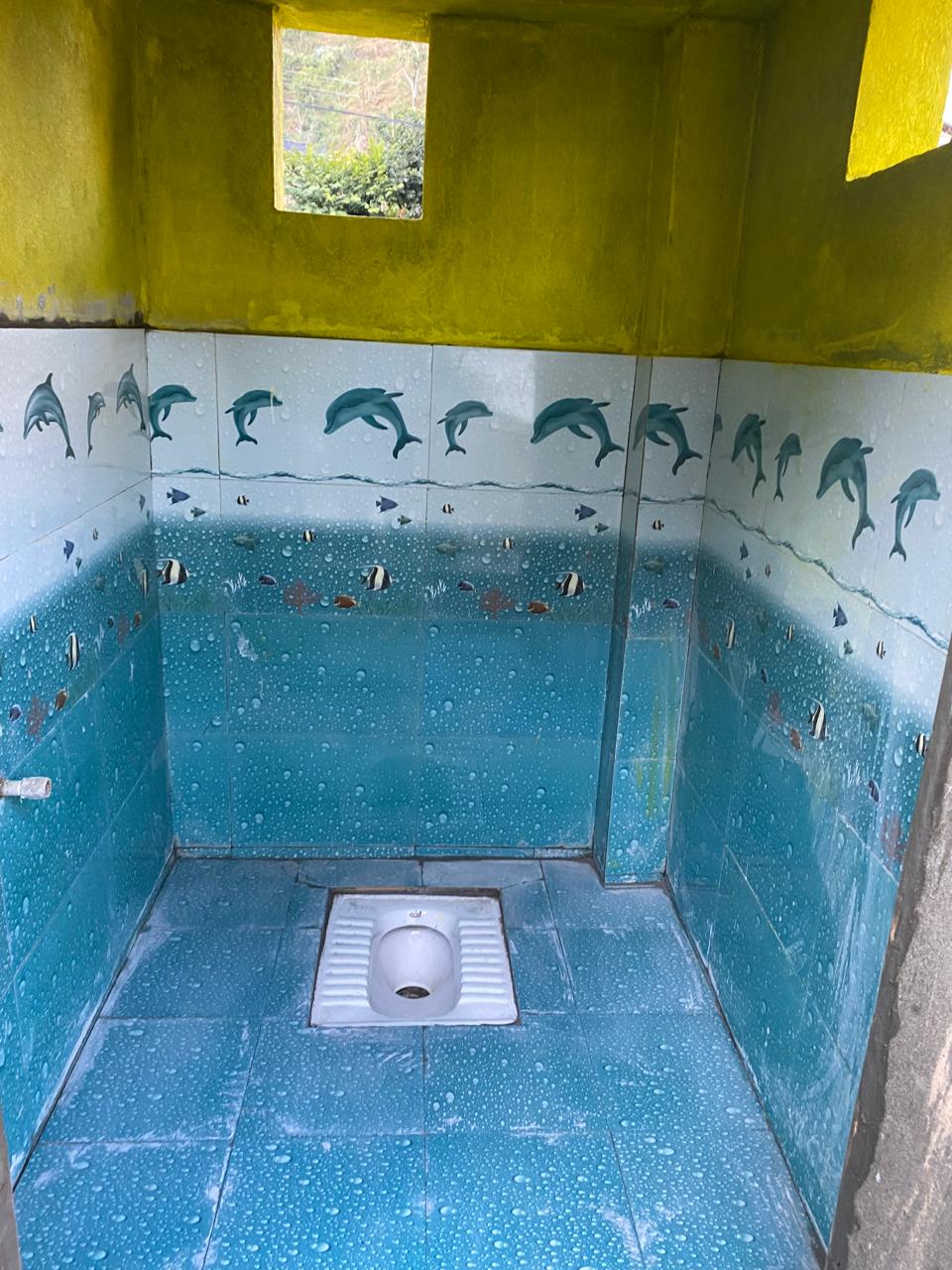 Girls Toilet Project : Bhrikuti Secondary School, Baglung