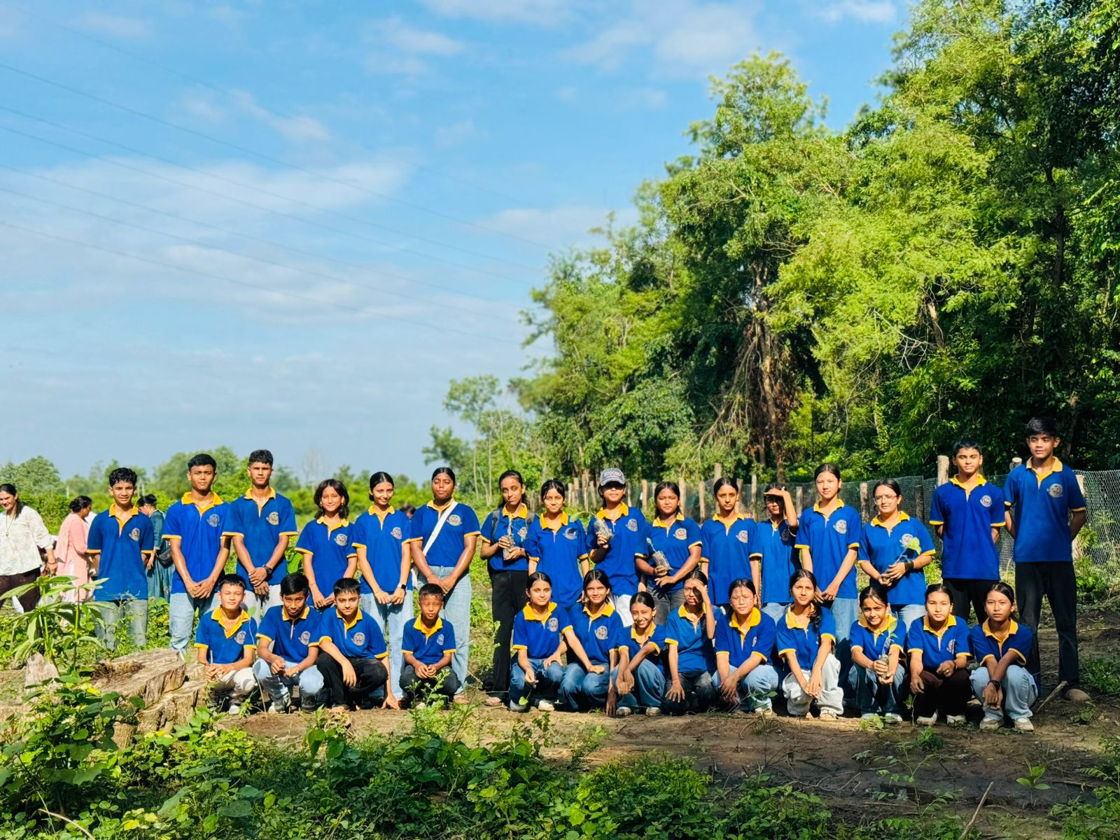 Tree Plantation Program